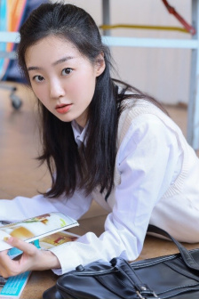 秘密女搜查官系列